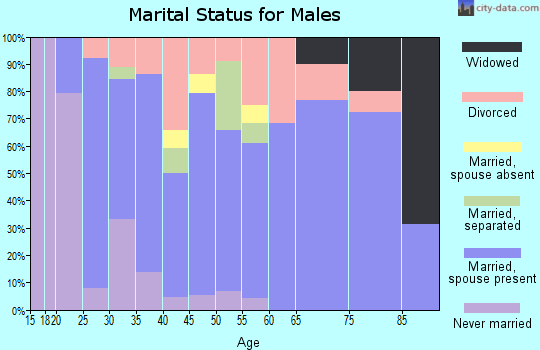 Zip code 14504 marital status for males