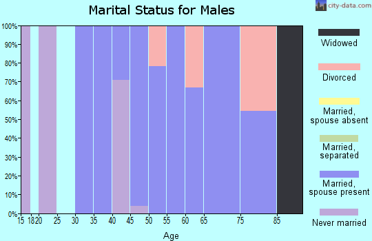 Zip code 14506 marital status for males