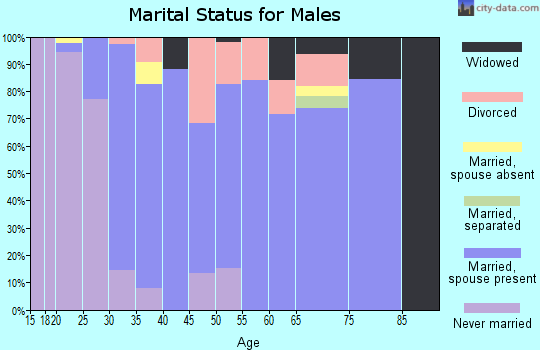 Zip code 14525 marital status for males