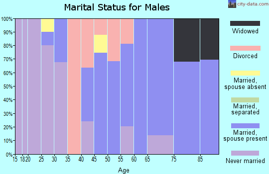 Zip code 14533 marital status for males