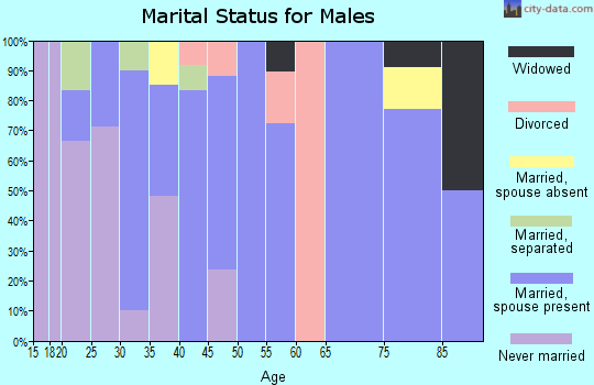 Zip code 14536 marital status for males