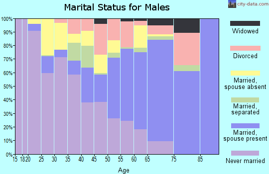 Zip code 14541 marital status for males