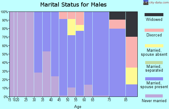 Zip code 14543 marital status for males