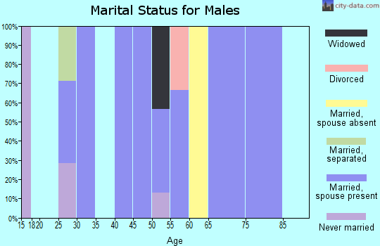 Zip code 14545 marital status for males