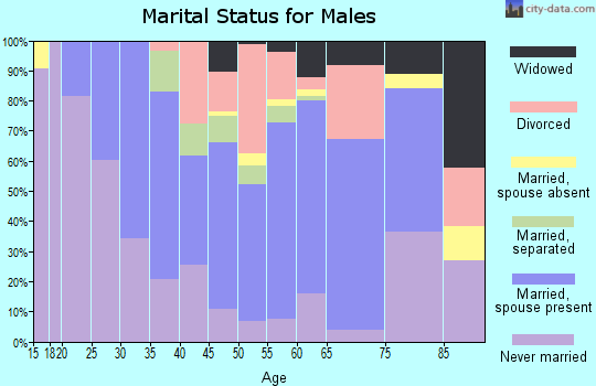 Zip code 14551 marital status for males