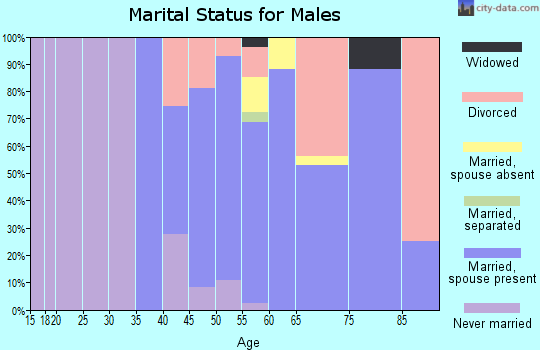 Zip code 14555 marital status for males