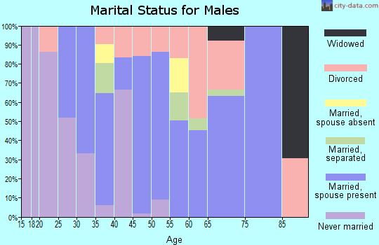 Zip code 14560 marital status for males