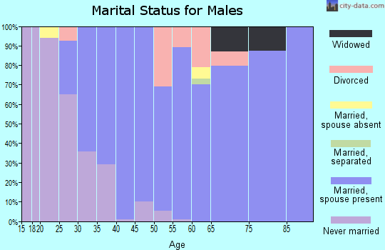 Zip code 14568 marital status for males