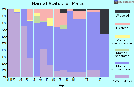 Zip code 14569 marital status for males