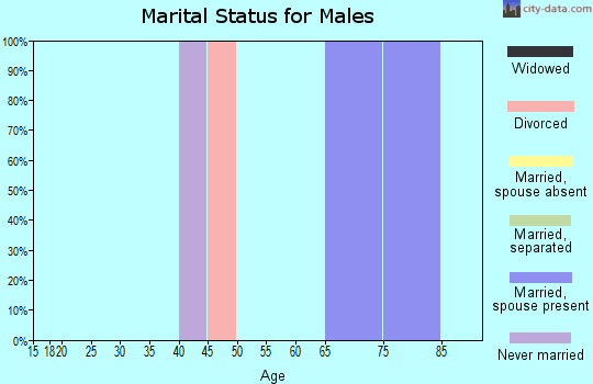 Zip code 14585 marital status for males