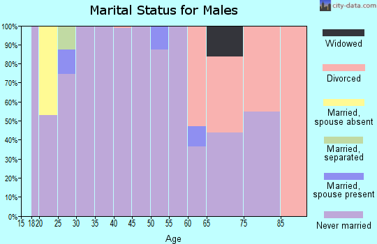 Zip code 14604 marital status for males