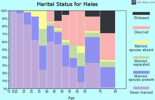 Zip code 14605 marital status for males