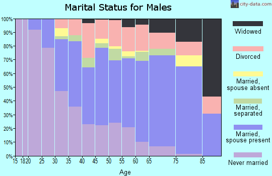 Zip code 14606 marital status for males