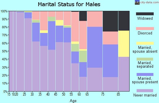 Zip code 14607 marital status for males