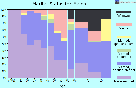 Zip code 14613 marital status for males