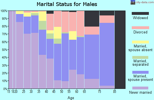 Zip code 14615 marital status for males