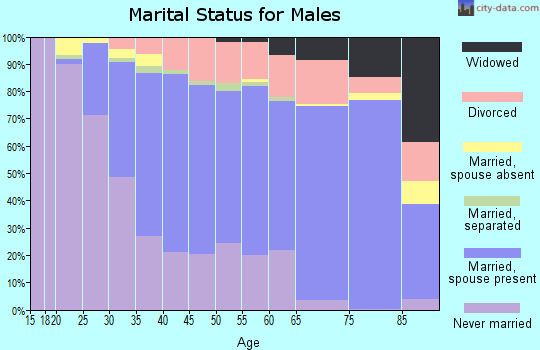 Zip code 14616 marital status for males