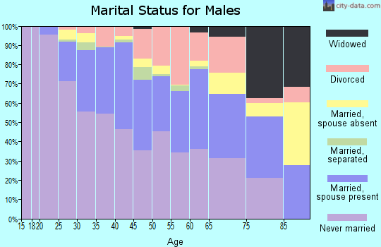 Zip code 14620 marital status for males