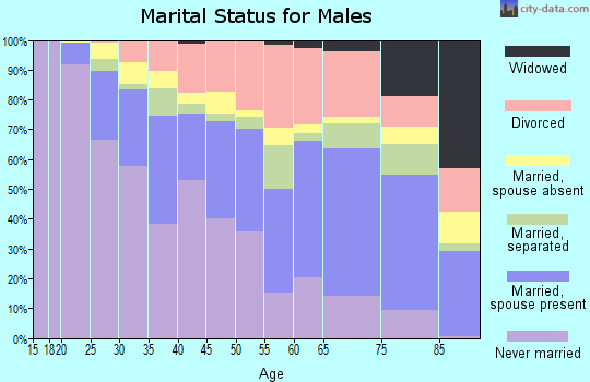 Zip code 14621 marital status for males