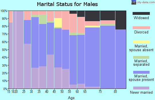 Zip code 14622 marital status for males