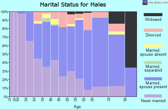 Zip code 14623 marital status for males