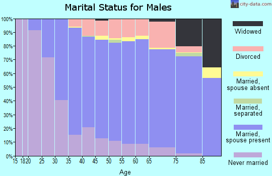 Zip code 14624 marital status for males