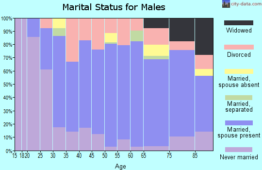 Zip code 14706 marital status for males