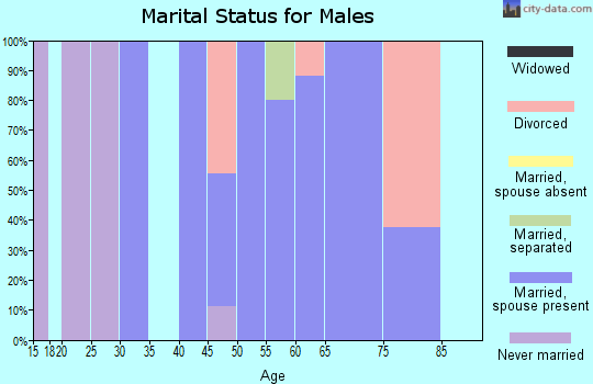 Zip code 14708 marital status for males