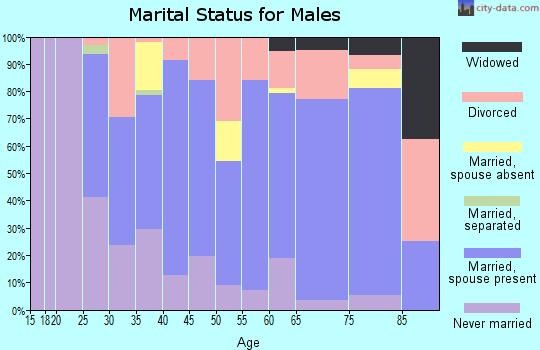 Zip code 14711 marital status for males