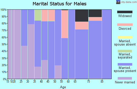 Zip code 14712 marital status for males