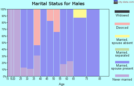 Zip code 14714 marital status for males