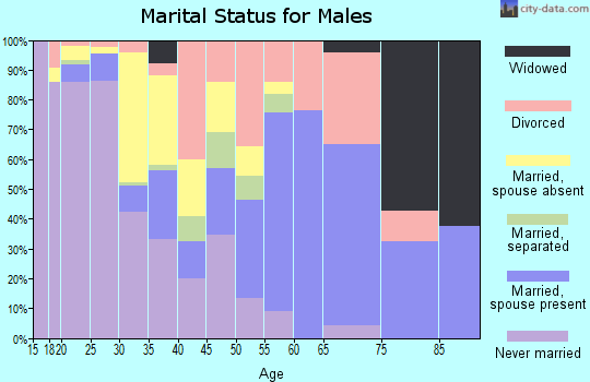 Zip code 14716 marital status for males