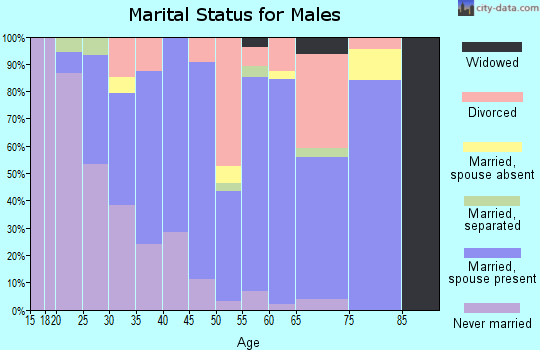 Zip code 14718 marital status for males