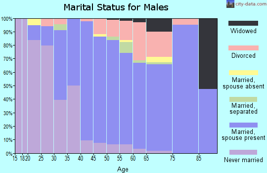 Zip code 14719 marital status for males