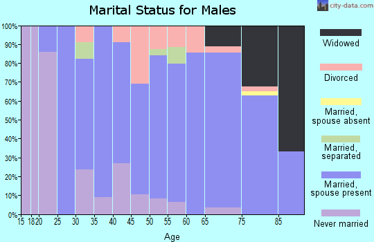 Zip code 14724 marital status for males