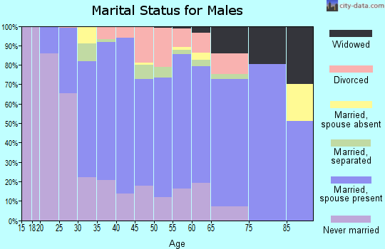 Zip code 14727 marital status for males