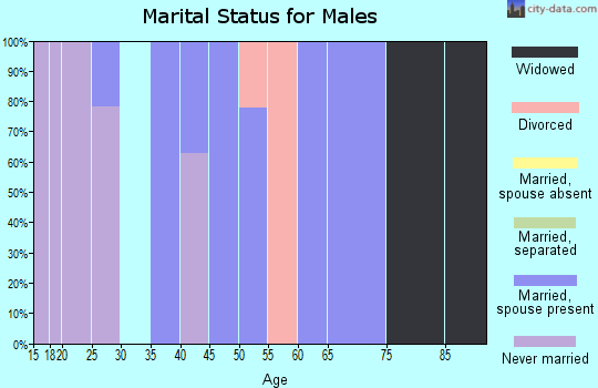 Zip code 14728 marital status for males