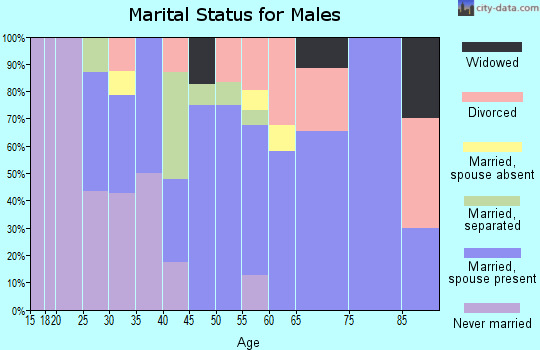 Zip code 14729 marital status for males