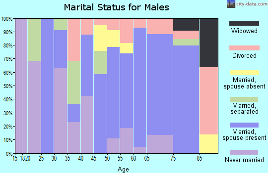 Zip code 14731 marital status for males