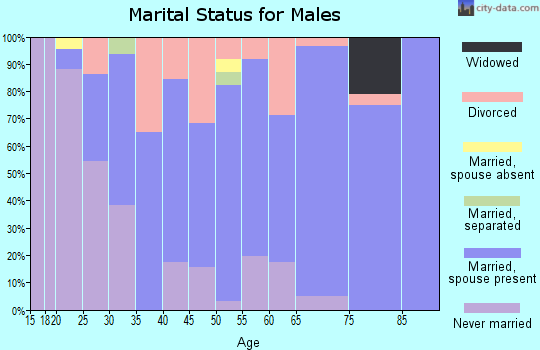Zip code 14733 marital status for males