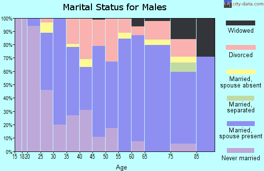 Zip code 14735 marital status for males