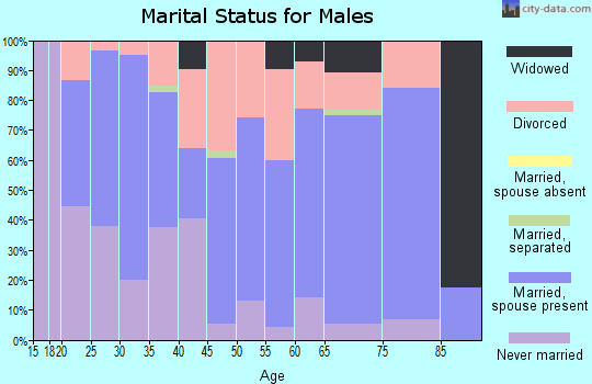 Zip code 14737 marital status for males