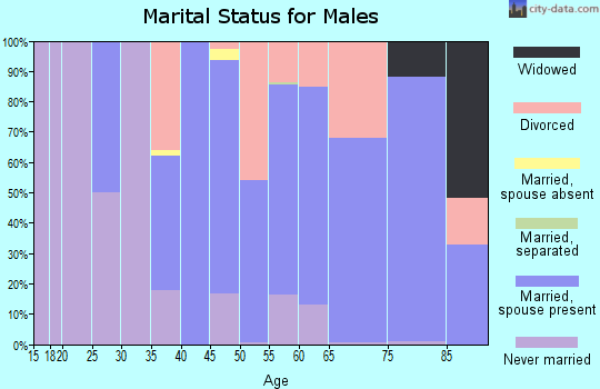 Zip code 14738 marital status for males