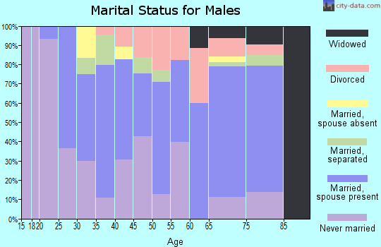 Zip code 14739 marital status for males
