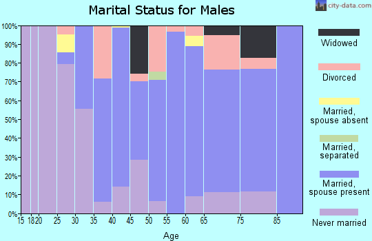 Zip code 14741 marital status for males
