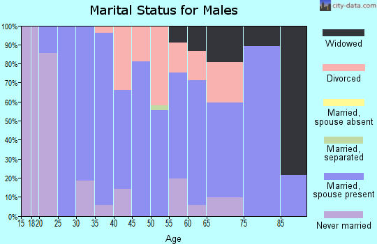 Zip code 14743 marital status for males