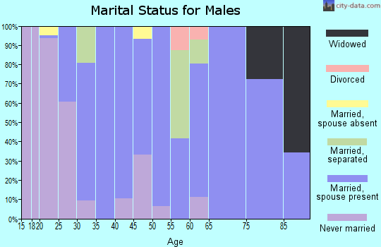 Zip code 14744 marital status for males