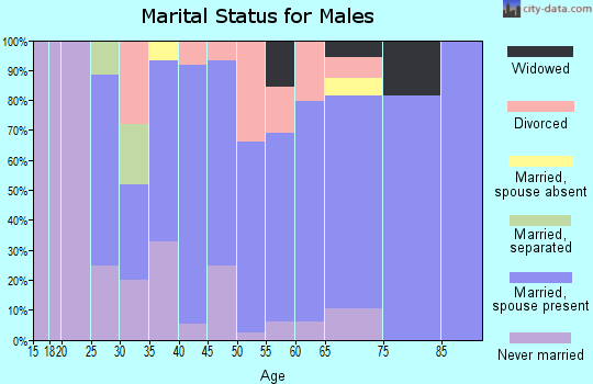Zip code 14747 marital status for males