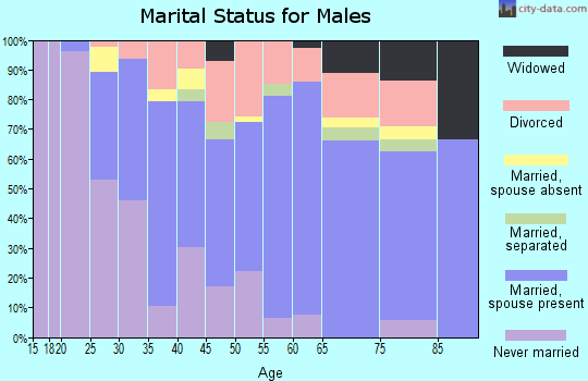 Zip code 14755 marital status for males
