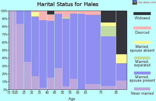 Zip code 14767 marital status for males